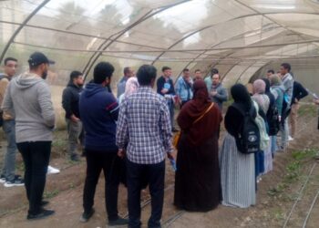 المركزي للمناخ