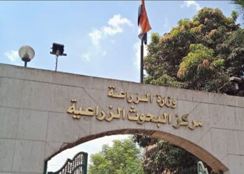 المحطات البحثية ودورها في التنمية الزراعية 6 مركز البحوث الزراعية