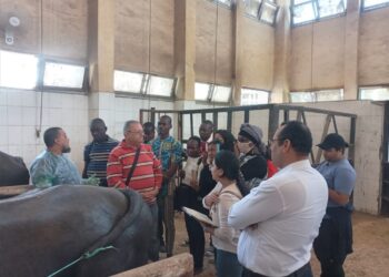 معهد التناسليات