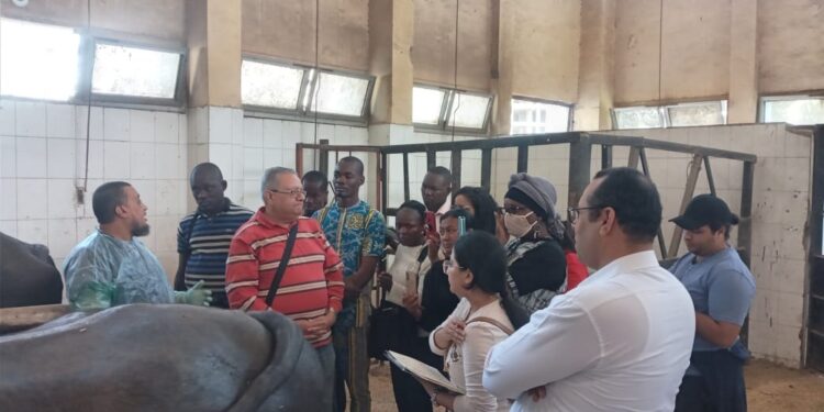 معهد التناسليات