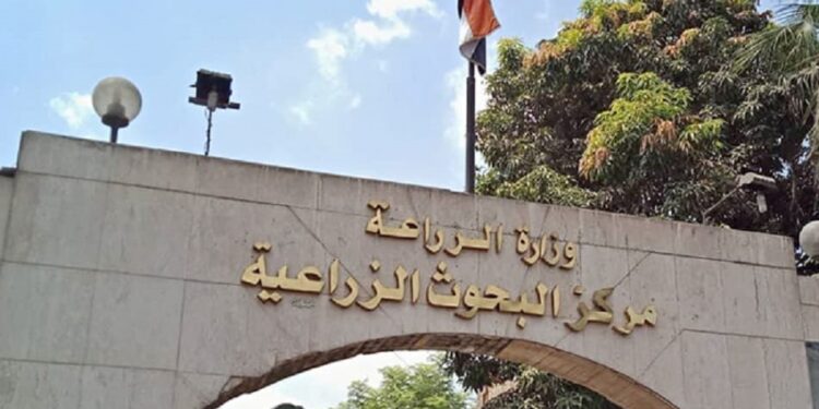 النانو تكنولوجي ودوره في الحد من التغيرات المناخية في ندوة بـ المركزي للمناخ 1 النانو تكنولوجي