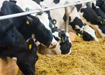 التغيرات المناخية