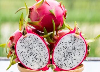 الدراجون فروت