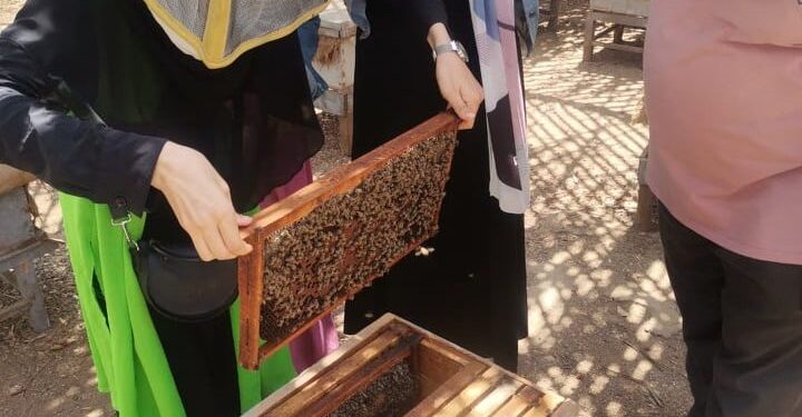 "إدارة العمليات النحلية في ظل التغيرات المناخية" برنامج تدريبي بوقاية النباتات 1 العمليات النحلية