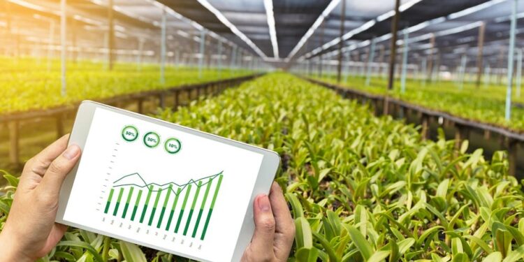 وزارة الزراعة ودورها في مؤتمر قمة المناخ COP 27 1 قمة المناخ