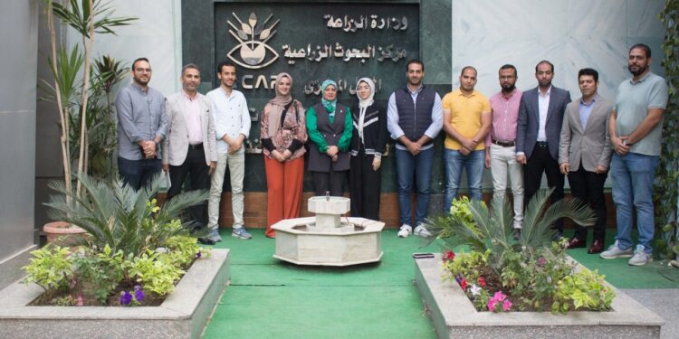 متبقيات المبيدات