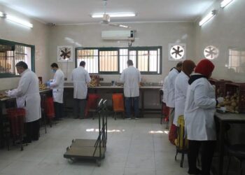 بطاطس المائدة