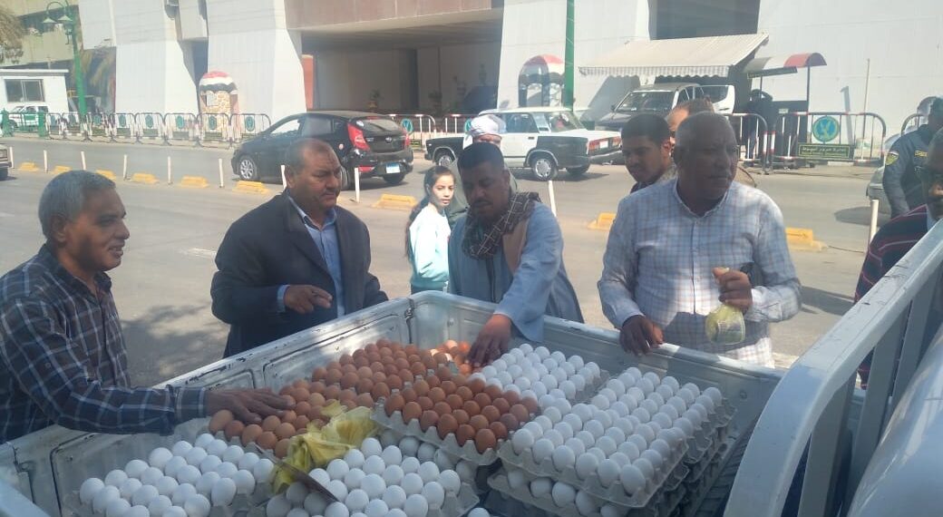 بيض المائدة