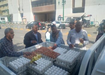 بيض المائدة