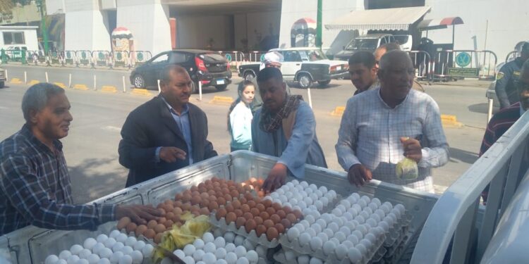 بيض المائدة