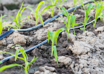 تخطيط التربة