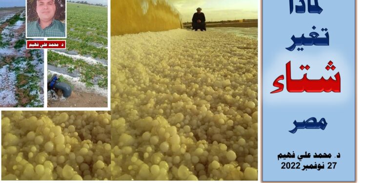 التغيرات المناخية .. "فهيم" يوضح الظواهر المتسببة في تأثيراتها على مصر 1 التغيرات المناخية