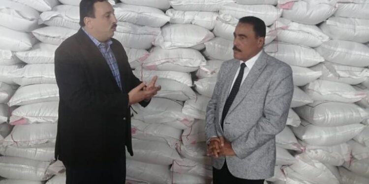 الزراعة توزع 70 طن تقاوى شعير و 100 ألف شتلة زيتون على صغار المزارعين بمطروح 1 تقاوى شعير