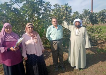 زراعات الخضر