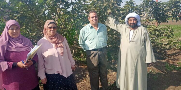 زراعات الخضر