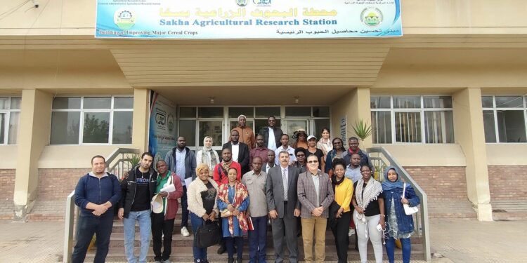 وفد أفريقي يزور محطة البحوث الزراعية بسخا 1 سخا