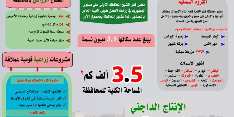 "كفر الشيخ" .. قلعة الأسماك والإنتاج الزراعي المتنوع 1 كفر الشيخ