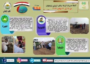 مركز المعلومات الصوتية