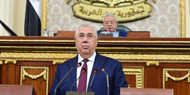 القصير أمام البرلمان: الدولة تتخذ كافة الإجراءات لمنع التعدى على الأراضي الزراعية 1 القصير