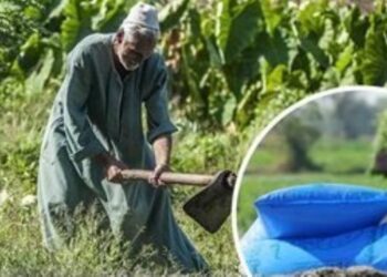 التعاونيات الزراعية