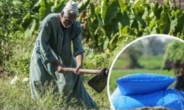 التعاونيات الزراعية ودورها في النهوض بالقطاع الزراعي 1 التعاونيات الزراعية