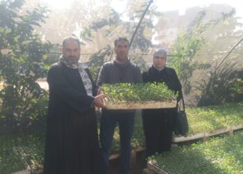 الزراعة” تتفقد مشاتل إنتاج شتلات الخضر بالإسكندرية