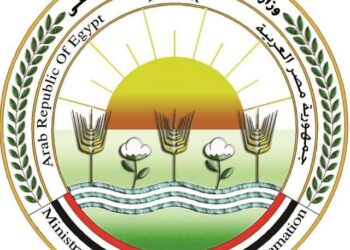 مستلزمات الأعلاف .. الزراعة تعلن الإفراج عن 145 ألف طن ذرة وصويا