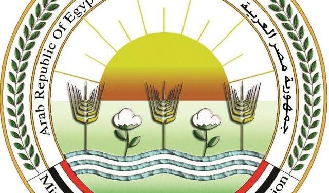 مستلزمات الأعلاف .. الزراعة تعلن الإفراج عن 145 ألف طن ذرة وصويا