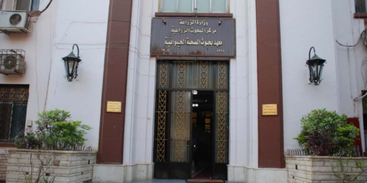 مركز الاستشارات والتدريب بمعهد صحة الحيوان ودوره في النهوض بالثروة الحيوانية 1 مركز الاستشارات والتدريب