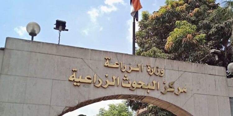 د. نيفين متولي تكتب الزراعة بدون تربة والتكنولوجيا الحديثة لإنتاج الخضر 1 الزراعة بدون تربة