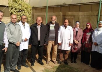 محصول القمح