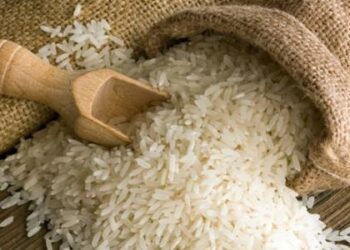 توريد الأرز