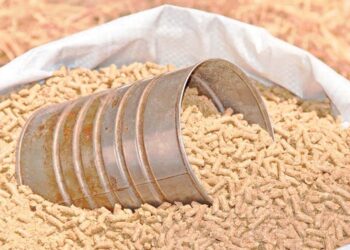 أعلاف الذرة والصويا