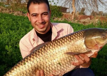 الاستزراع السمكي