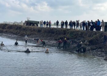 جهاز تنمية البحيرات