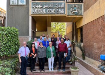 البنك القومي للجينات