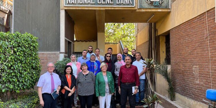 البنك القومي للجينات يستقبل وفدا من صندوق المحاصيل الدولي 1 البنك القومي للجينات