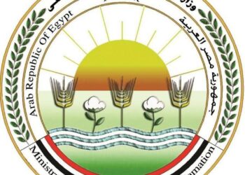 أسماك غير صالحة