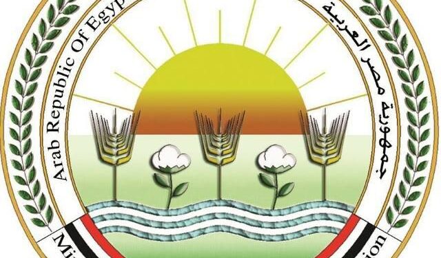 أسماك غير صالحة