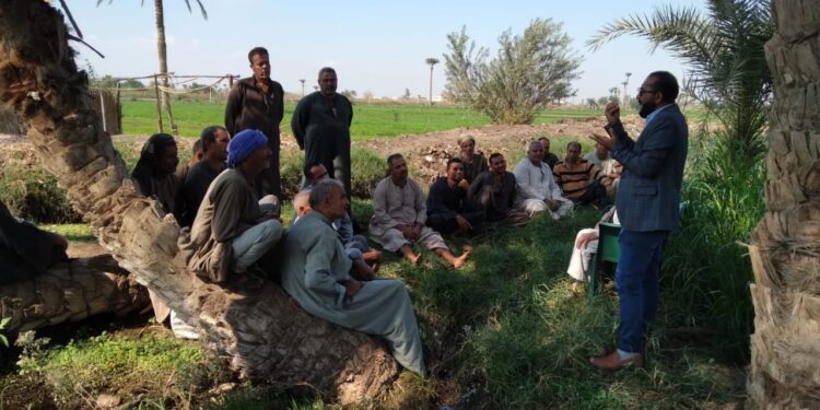 "الزراعة" تستعرض تقريرا حول أبرز أنشطة المعمل المركزي للنخيل خلال نوفمبر الماضي 1 الزراعة
