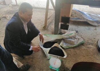 الفحم الحيوي