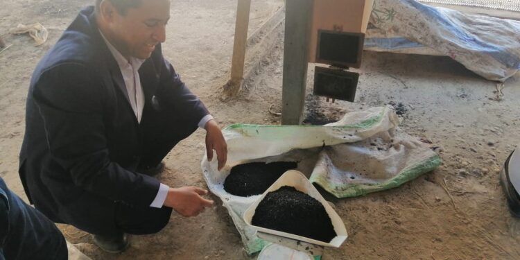 الفحم الحيوي .. باحثو الهندسة الزراعية ينجحون في تصنيع وحدة لإنتاجه 1 الفحم الحيوي