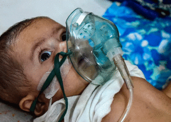 الفيروس المخلوي