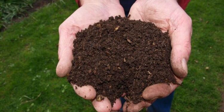 الكمبوست .. 10 خطوات لإنتاجه من مخلفات المنازل العضوية 1 الكمبوست