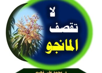 تقصيف شماريخ المانجو