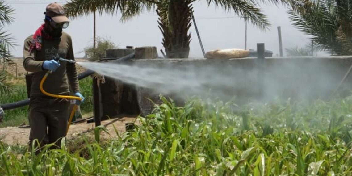 المركزي للحشائش