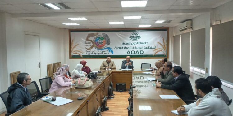 الذرة الشامية