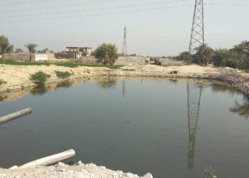 المزارع السمكية