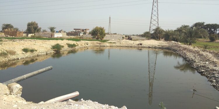 المزارع السمكية.. تعرف على الإجراءات المتبعة مع المخالفين 1 المزارع السمكية