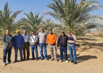 المعمل المركزي للنخيل